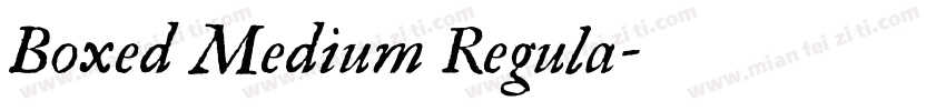Boxed Medium Regula字体转换